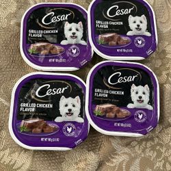 Cesar Grilled Chicken Flavor 