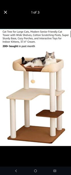 Large cat bed perch