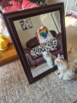 Large mirror