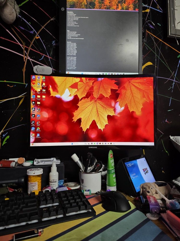 Samsung Monitor