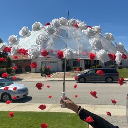 Wedding Umbrella