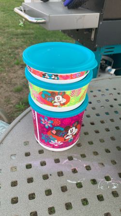 Household General Plastic Disney Tupperware 