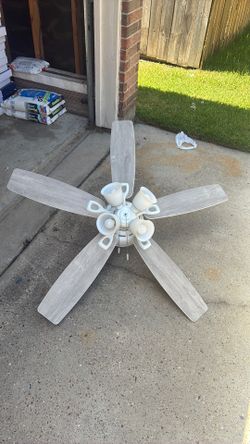 fan