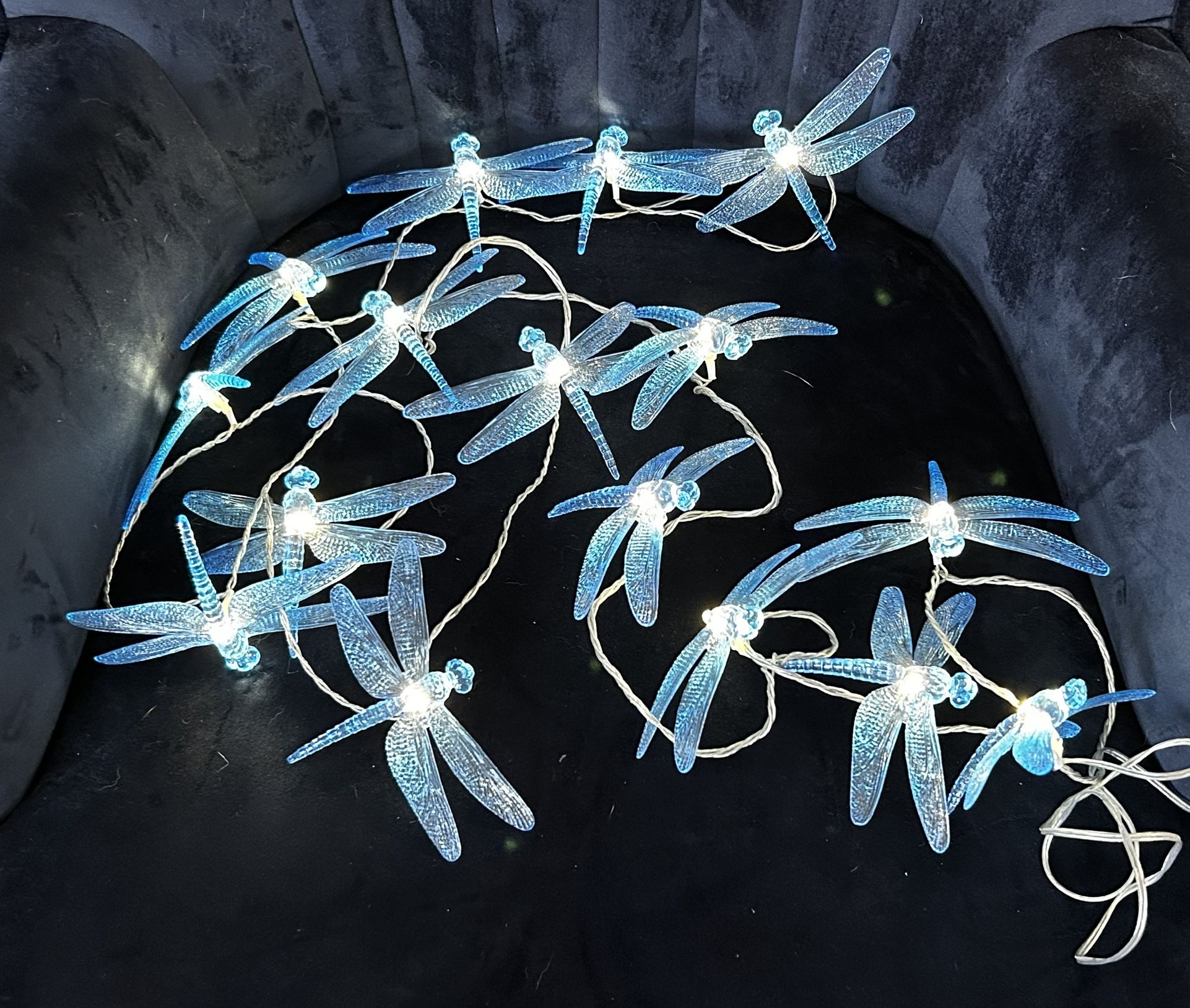 BEAUTIFUL dragon Fly Lights