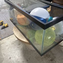 Small Pet / Reptile Tank with Screen Lid + Accessories