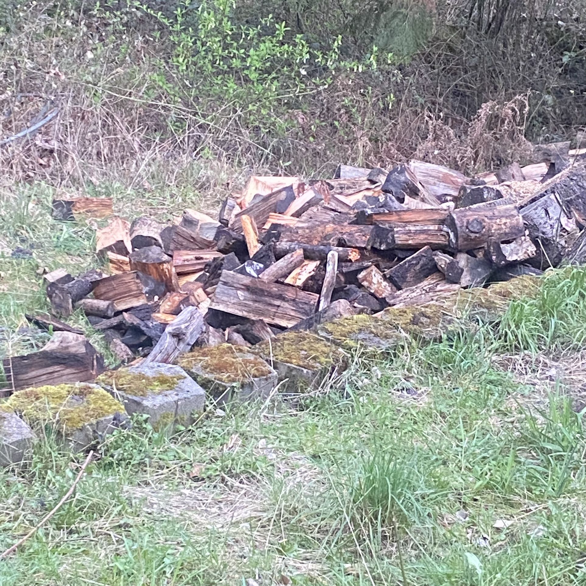 Seasoned Firewood