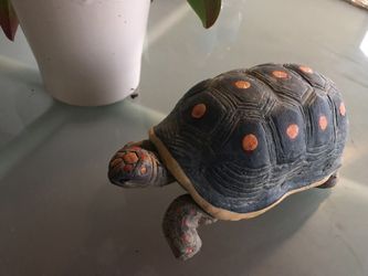 Ceramic turtle