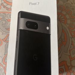 google pixel 7