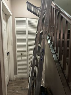 Werner Ladder Aluminum