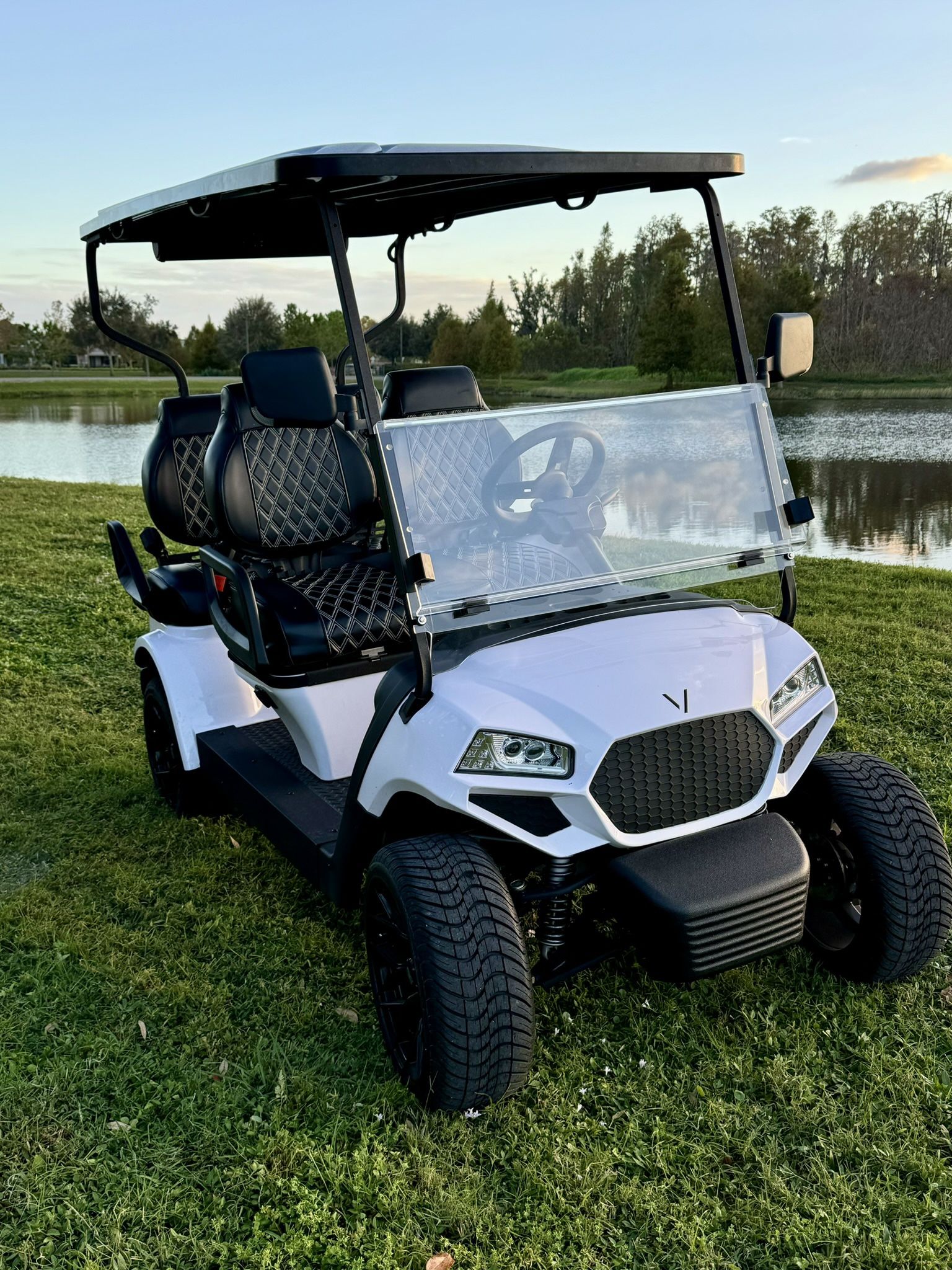 Forward Facing Golf Cart