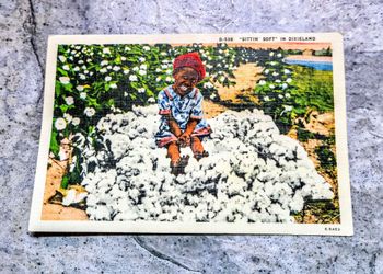 Vintage Linen Post Card  • Card # D-538  Sittin Soft