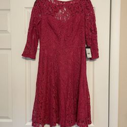 Brand New Adrianna Papell Pink Lace Overlay Dress - Size 6