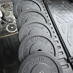 Weight Rogue Bumper Plates 