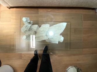 Modern Glass Coffee Table with Sculptural Faux Coral Base – Contemporary Coastal