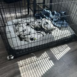 Dog Bed And Cage 