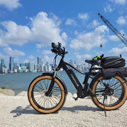 Electric Bike 48v 750w With 2 Batteries