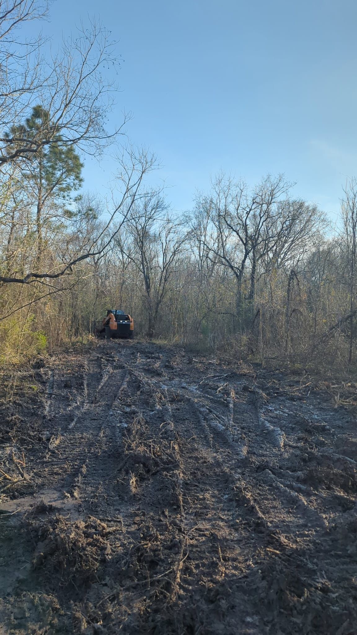 Land Cleaning