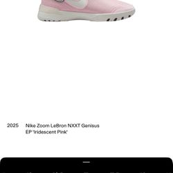 Nike zoom LeBron XT Genesis iridescent pink size 11.5 men