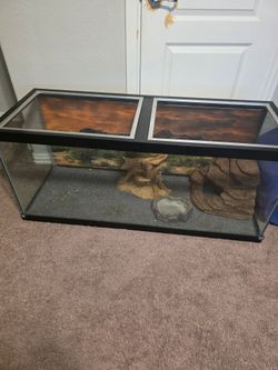 75 gallon bearded dragon aquarium