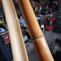 Bamboo