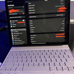 13 Inch iPad Air M2 (MV273LL/A) 128 GB Space Gray With Apple Pencil And Case