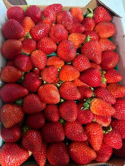 Fresas