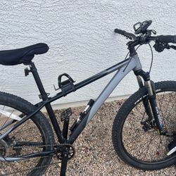 29in Trouvaille Mountain Bike With Roof Rack