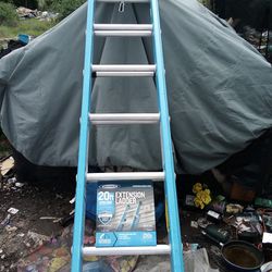 warner 20foot Fiberglass Extension Ladder 