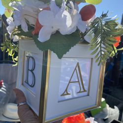 Cuties Baby Shower/ Gender Reveal Decor