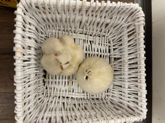 Decorative White garlic – Set of 2