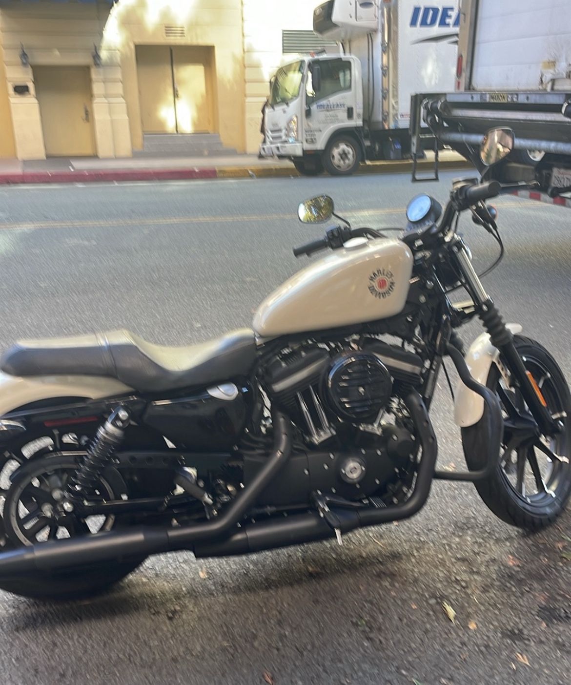 2023 Harley Davidson Iron 883 sportster