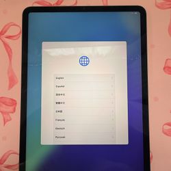 Ipad pro 11in 4th Generation 
