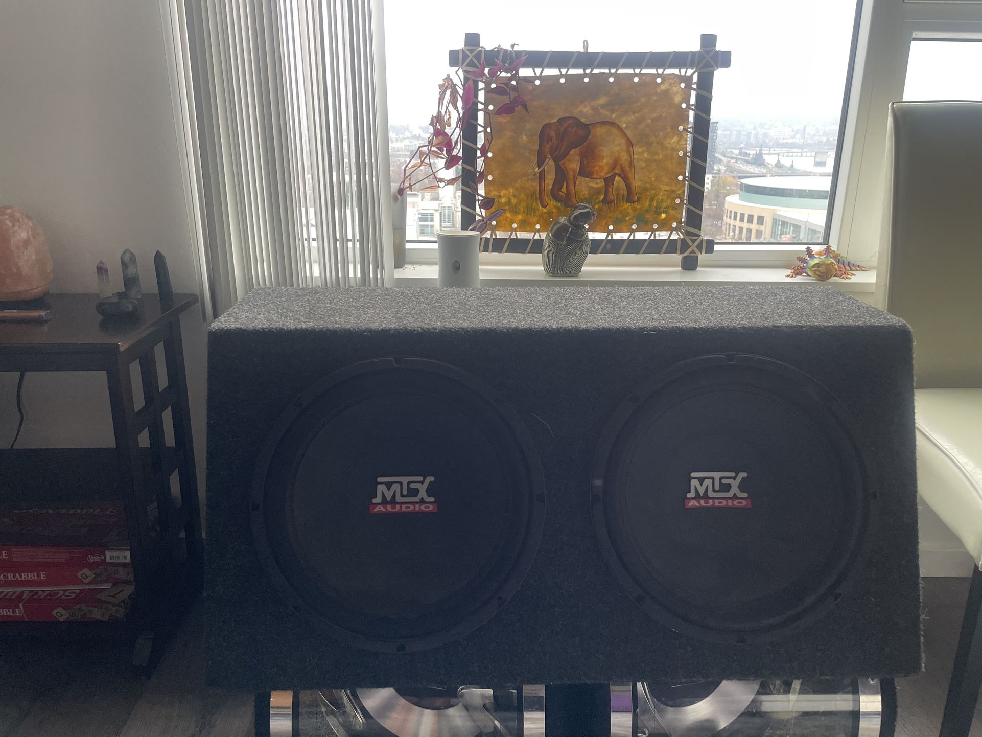 Dual 12 Inch Mtx Woofers