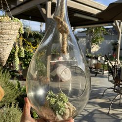 Indoor Outdoor Decor