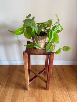 Plant Stand