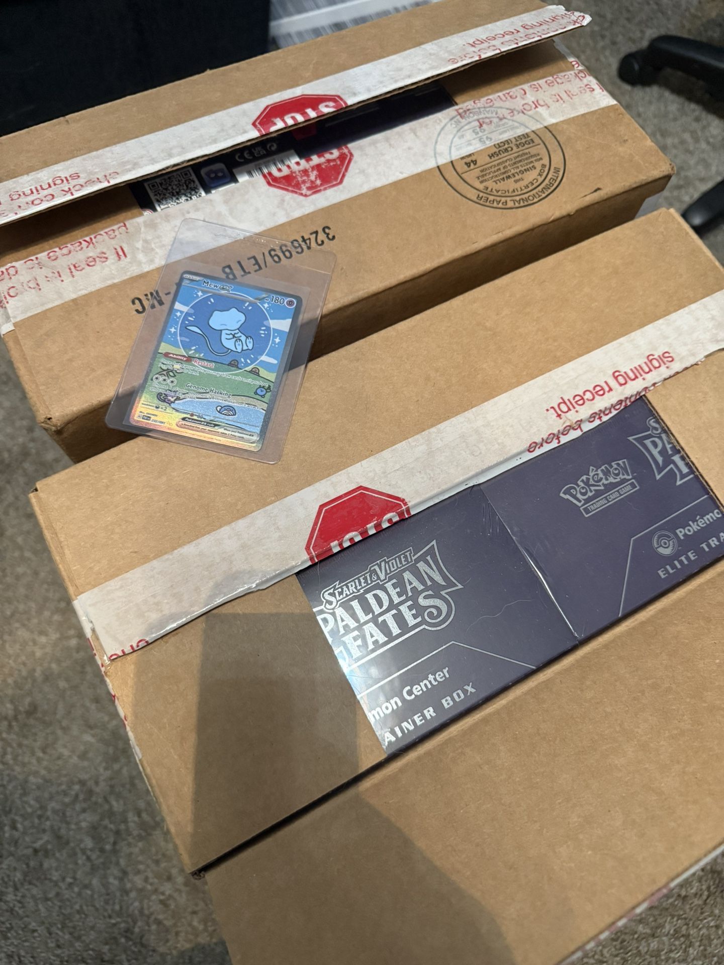 Pokemon Paldean Fates And 151 Cases