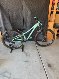 Specialized Pitch