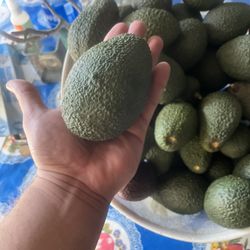 Hass Avocados 6 for $5—— 12 for $10 