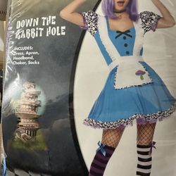 Alice In wonderland Costume 