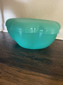 Salad Bowl