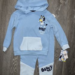 Bluey set sizes 4t 