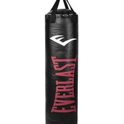 100 lb Punchbag 