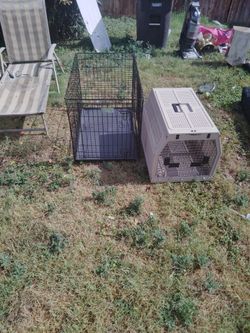 Two Dog Cage