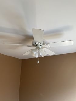 Light Fixture /Cailing fan