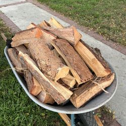 Firewood