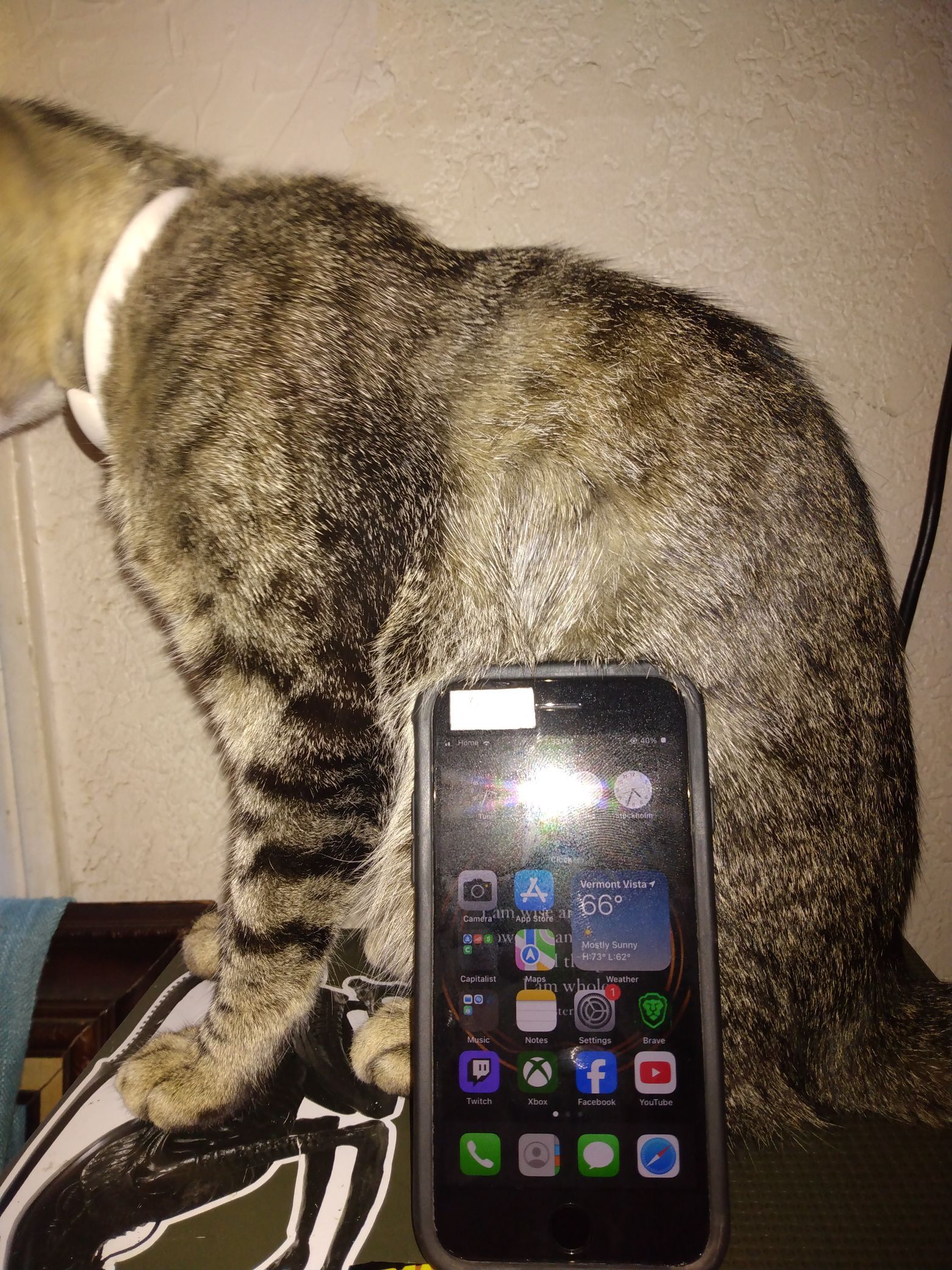 iPhone SE 3rd Generation
