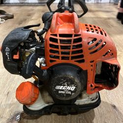 ECHO Weed Eater