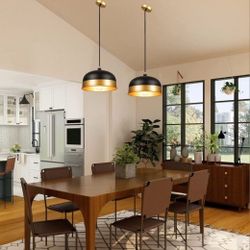 Classical simplicity 2-Light Modern/Contemporary Dome Hanging