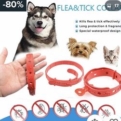 Flea and tick collar for dogs and cats