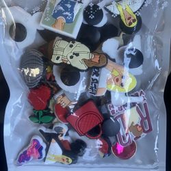 Taylor swift croc charms 